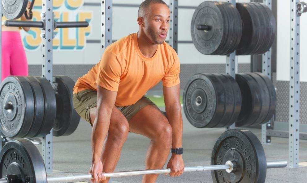 muscle groups